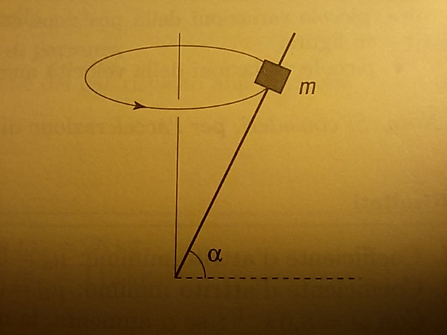 14241263912311101844551.jpg